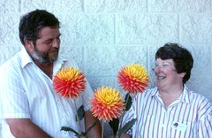 Ambrose, Dick & Susan – Camano Dahlias