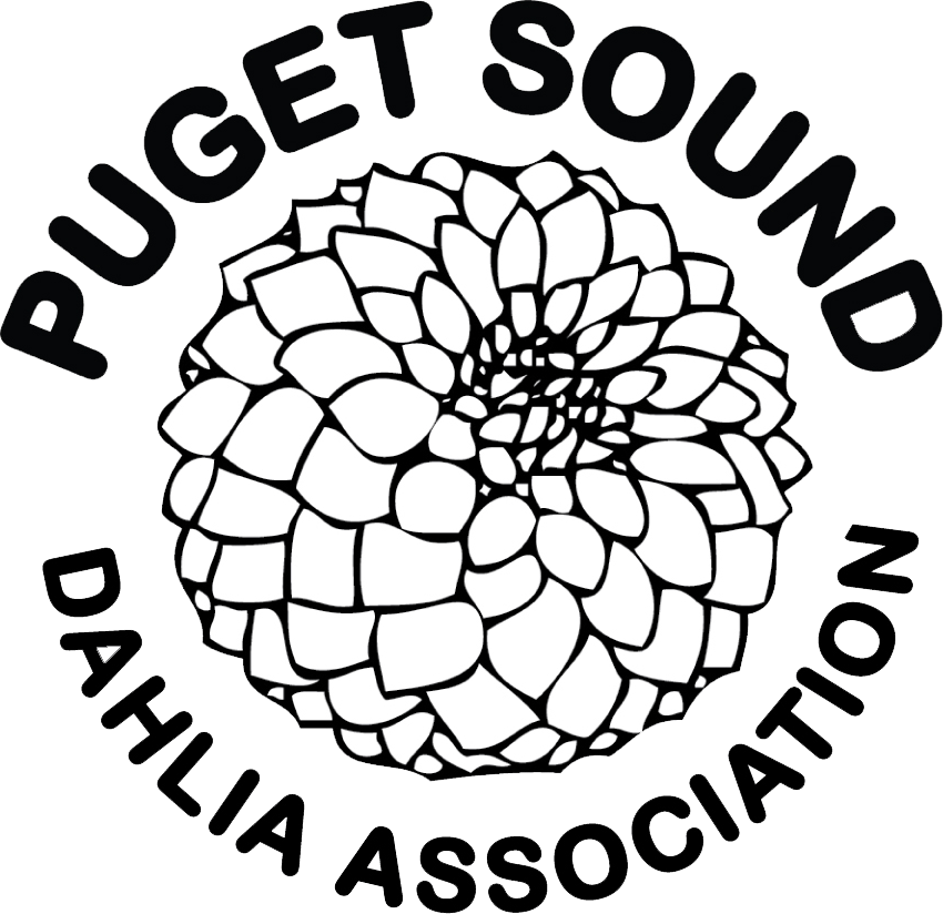 Puget Sound Dahlia Association (PSDA)
